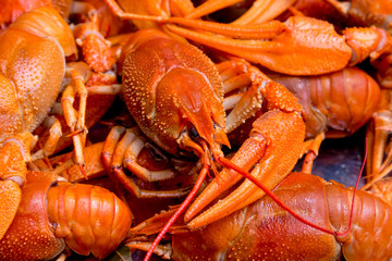 Bunch of red cooked crayfish