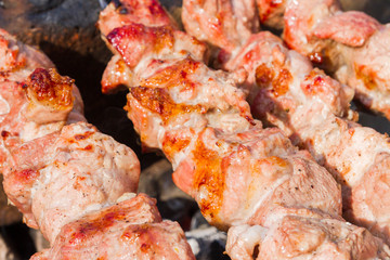 Meat skewer