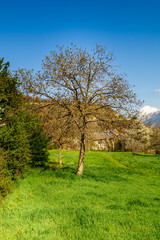 Panorama montano, montagne innevate, montagne in primavera, paesaggio primaverile