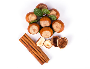 hazelnuts photo illustration