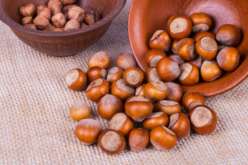 hazelnuts photo illustration