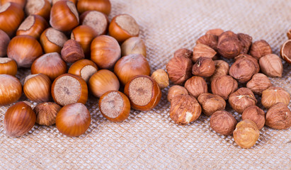 hazelnuts photo illustration
