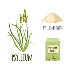 Superfood psyllium set in flat style.