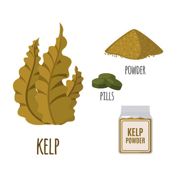 Superfood Kelp Set In Flat Style.