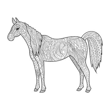 Horse coloring book for adults vector
