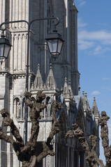 Cath&eacute;drale de Chartres, patrimoine de France