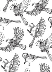 Seamless pattern with hand drawn ornate birds.