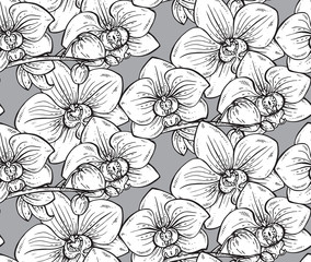 Floral seamless pattern with hand drawn orchid flowers