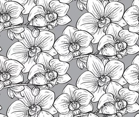 Papier Peint photo Orchidee Floral pattern sans couture avec des fleurs d& 39 orchidées dessinées à la main