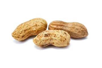 nuts peanuts in shell isolated on white background