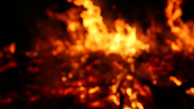 Fire, bonfire, forest fire, flames with blur defocus in slow motion x0.5. Violation of ecology, environmental pollution