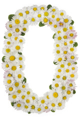 font number 0, natural flowers daisies