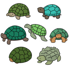 vector set of turtle