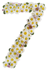 number 7 made from flowers