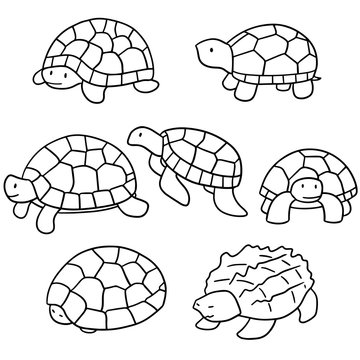 vector set of turtle