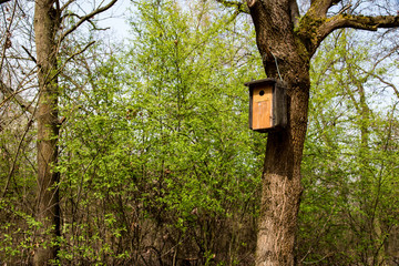 birdhouse on the tree