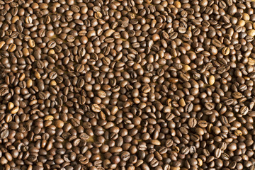Roasted coffee grain closeup