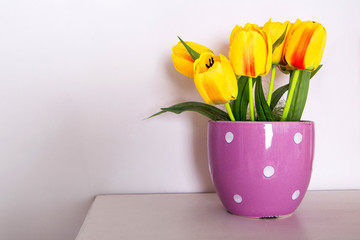 colourful tulip flowers in colourful pots