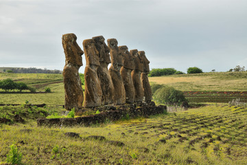 Moai statues Ahu a Kivi on Easter Island - obrazy, fototapety, plakaty