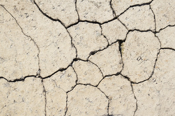 Cracked pavement brick
