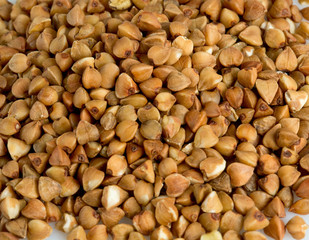 buckwheat isolated on white