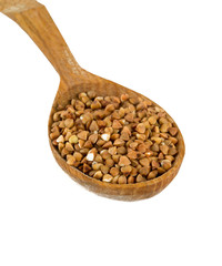 buckwheat