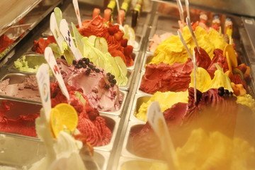 variety fruits ice cream