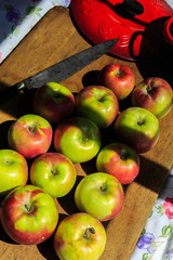 Making applesauce with Hudson Valley organic McIntosh apples