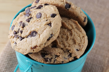chocolate chip cookie