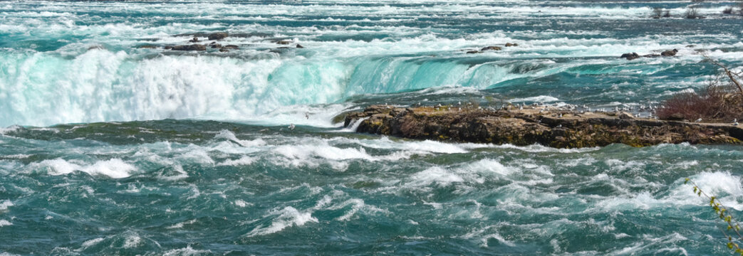Niagara river and wildlife.  Seagulls gather on the rock island that is closest to the Falls.  Some flying in to land as the roar of water continues unabated.
