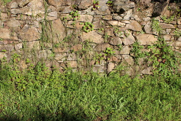field photo