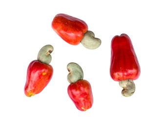 cashew nut on white background