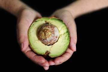 hand hold avocado