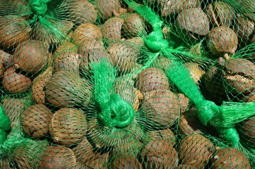 Fresh macadamia nuts in the shell at a market in Hawaii