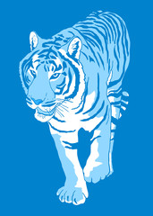 blue tiger illustration