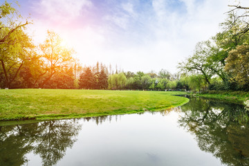 The beautiful green lawn in the spring park