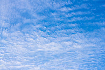 Blue sky background with cloud .
