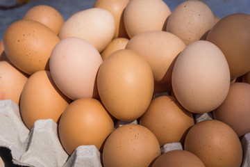 Fresh farm egg. Chicken Egg