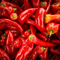 Red chili pepper background. many red peppers