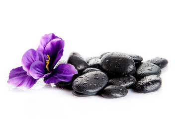 Obraz na płótnie Canvas Zen pebbles. Black spa stones isolated on white