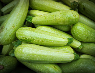Fresh green zucchini. Zucchini background