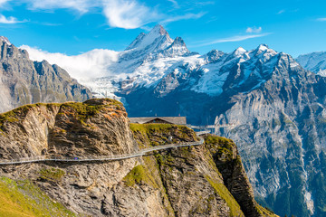 Fototapeta na wymiar Swiss Alps Panaroma