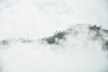 Fog cover mountain at Phutubberk north of Thailand 
