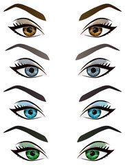 Set of realistic cartoon vector female eyes and eyebrows