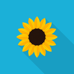 Sunflower icon with long shadow, flat style - Vector