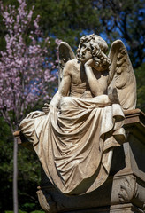 Stone angel in a cemetery