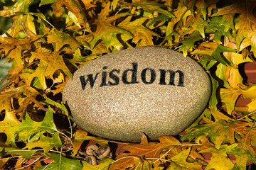 Wisdom Rock with Engraved Letters