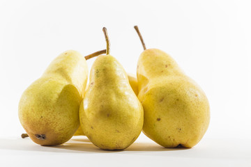 Fresh Picked Pears on bright background