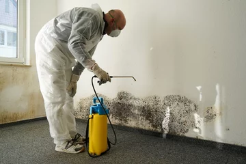 Fotobehang Specialist in het bestrijden van schimmel in een appartement © Heiko Küverling