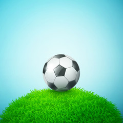 Soccer bal on the grass field